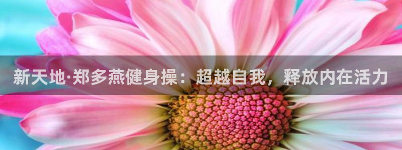 凯捷体育官网