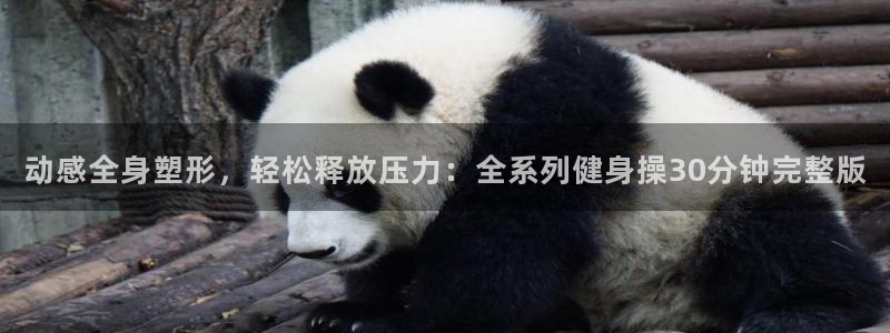 凯捷体育招商