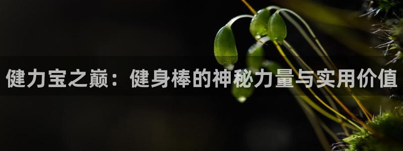 凯捷体育招商