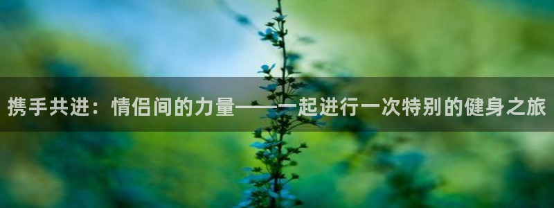 凯捷体育官方平台