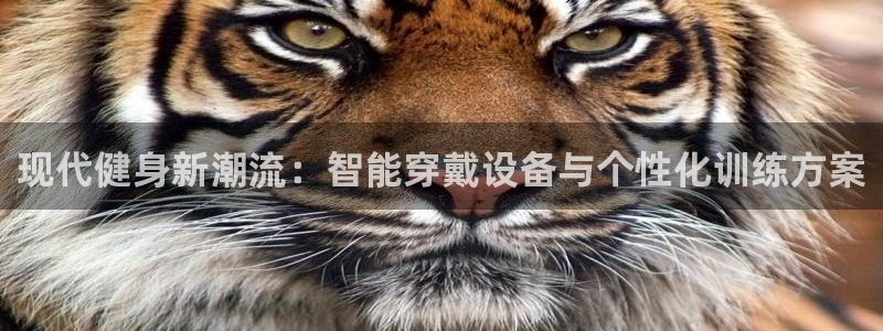 凯捷体育招商