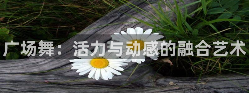 凯捷体育官网