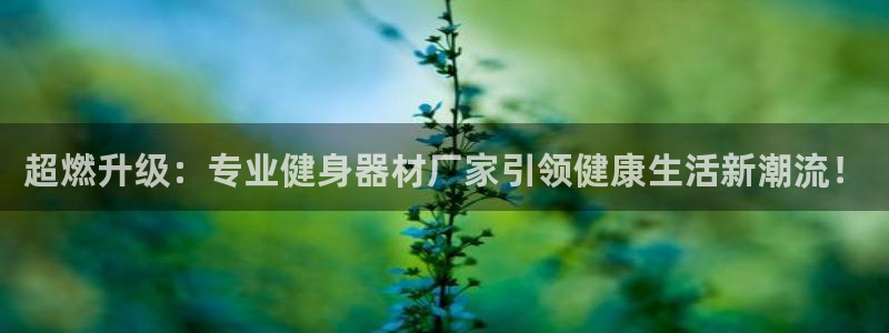 凯捷体育登录