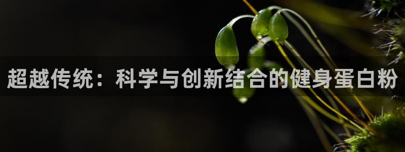 凯捷体育娱乐