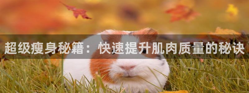 凯捷体育官网