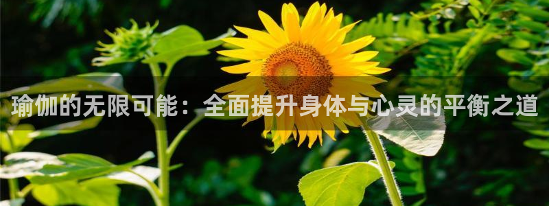 凯捷体育注册